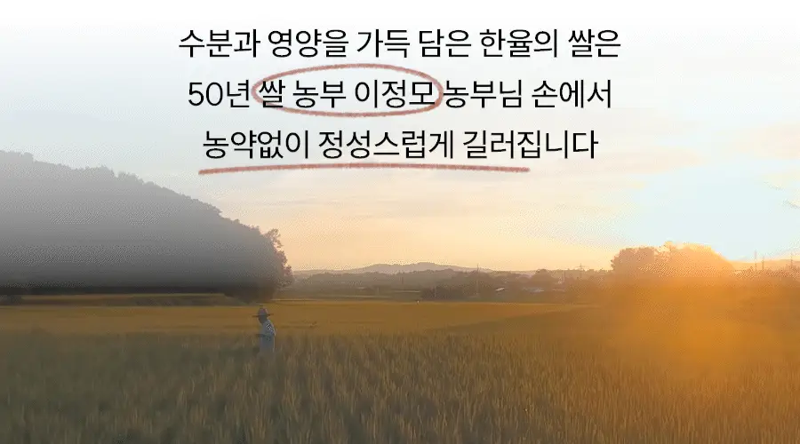 [초밀착젤리랩핑시트] 한율 빨간쌀 보습탄력 랩핑 마스크 4매 (+1매 증정기획) 상세페이지 13